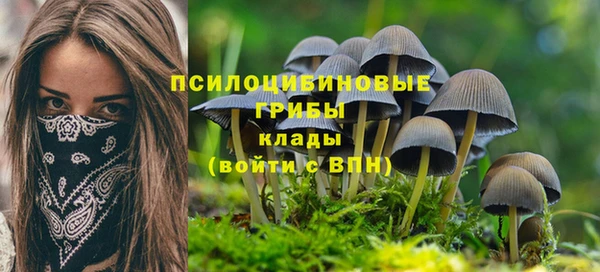 MDMA Premium VHQ Белокуриха